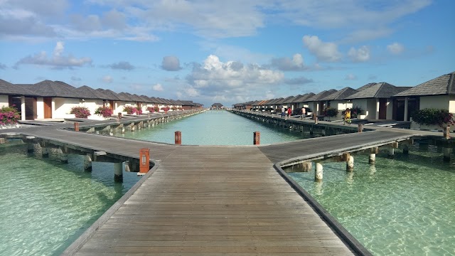 The Hidden Gem of the Indian Ocean - Maldives