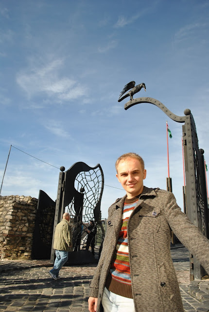 Raven on the gate, Budapest