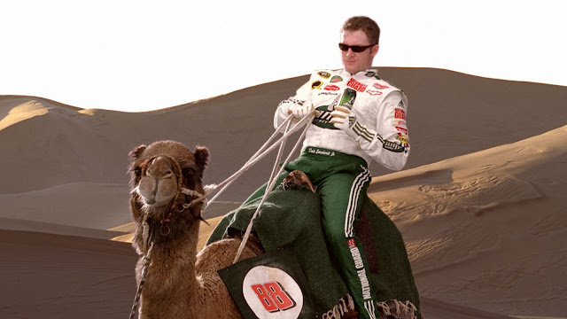 dale earnhardt jr. imagenes. Fotos de Dale Earnhardt Jr