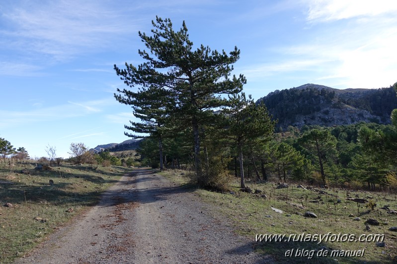 Cerro de Los Arcos desde Quejigales