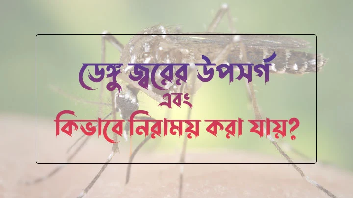 ডেঙ্গু জ্বরের উপসর্গ এবং কিভাবে নিরাময় করা যায়?