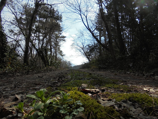 牧草地に出ます