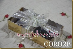 Coklat dan hiasan 9.4.2011 014