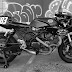 Boyle Brothers Motorcycles | XL1200N Racer 