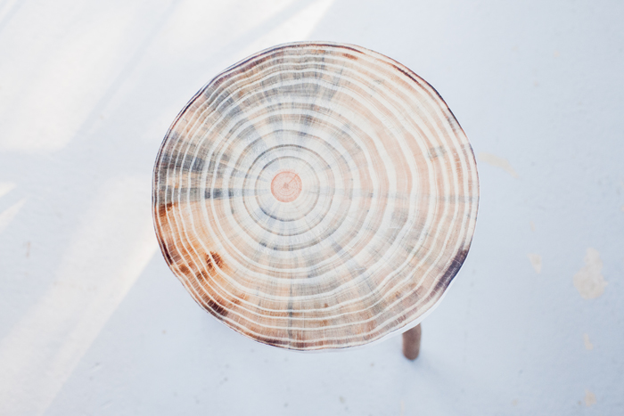 tree growth ring furniture