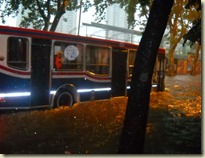 06dic2012 020