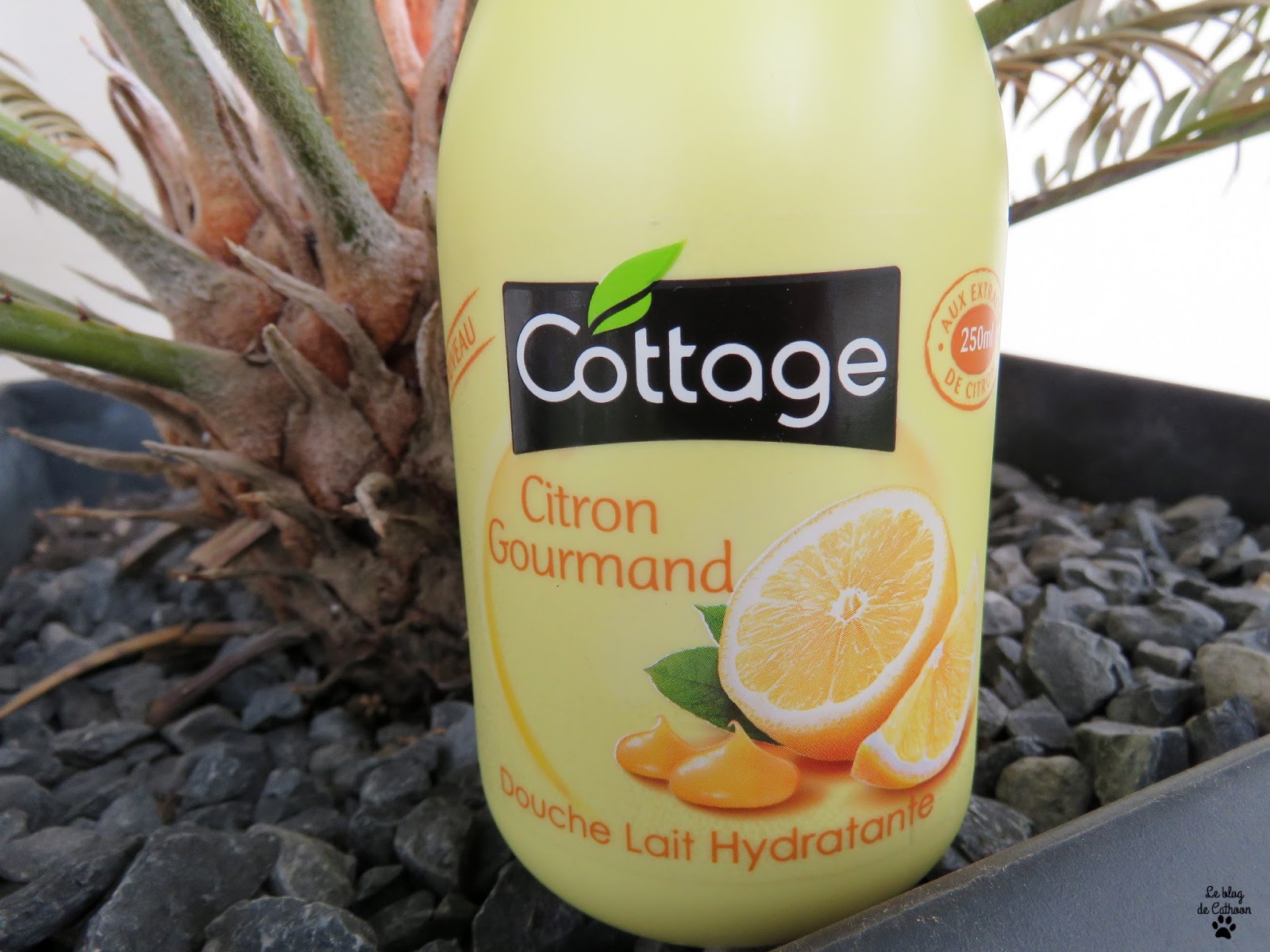 Citron Gourmand - Douche Lait Hydratant - Cottage