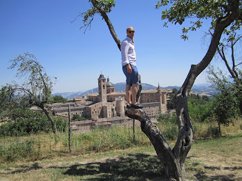 Mitch in a tree at the art park, Urbino