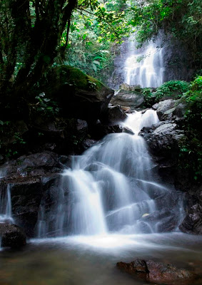 Tempat Wisata di Puncak 