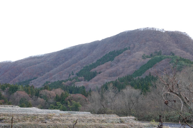 鳥取県日野郡江府町御机 城山