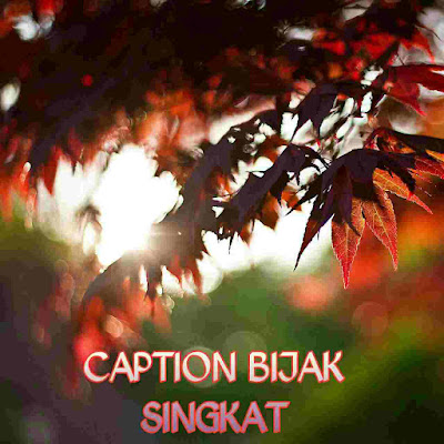 caption bijak singkat