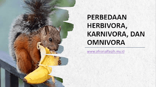 Perbedaan Hewan Herbivora, Karnivora, dan Omnivora | Materi IPA Sekolah Dasar