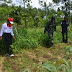 RELAWAN HIJAUKAN BUKIT TEPUS