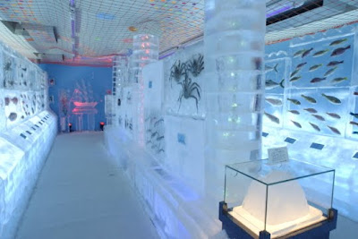 Frozen Ice Aquariam in Japan 