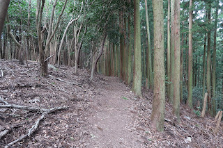 Shikoku Pilgrimage Kamo Trail