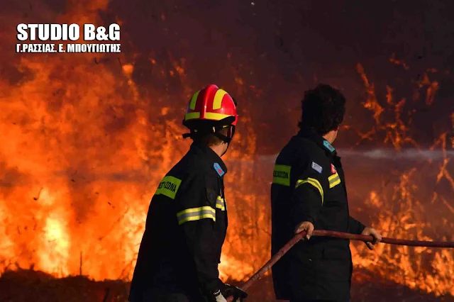  Υψηλός ο κίνδυνος πυρκαγιών σήμερα και στην Αργολίδα - Σε επιφυλακή η πυροσβεστική 