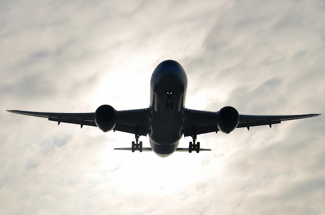 Silhouette of Boeing 787-8 Dreamliner