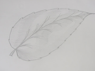 Richa Art Club, Draw and Sketch Serrate Type Leaf Using Pencil