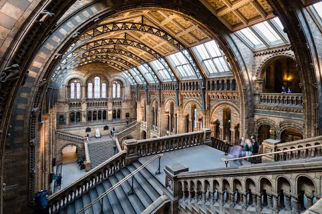 Museo historia natural Londres