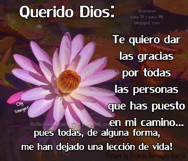 QUERIDO DIOS:  Te quiero dar las gracias por todas las personas  que has puesto en mi camino... pues todas, en alguna forma, me han dejado una lección de vida!