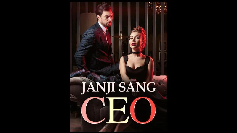 Novel Janji Sang CEO Full Bab