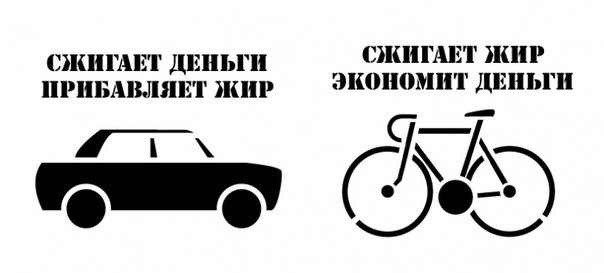 сравнение автомобиля и велосипеда