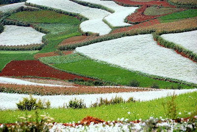 Amazing Red Land of China, Lexiaguo