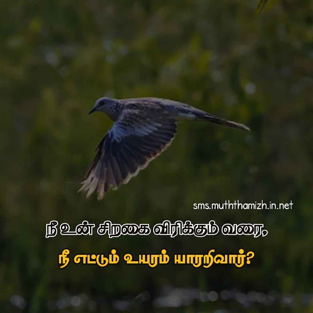 Tamil Motivational Thoughts