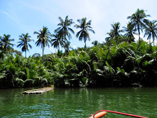 Langogan palawan filippine