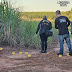 JOVEM É ENCONTRADO DECAPITADO EM ÁREA RURAL NO NOROESTE DO PR