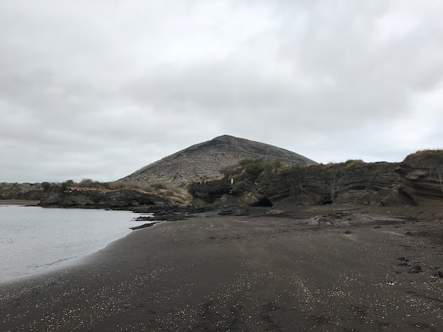 Puerto Egas, Isla Santiago, Galápagos