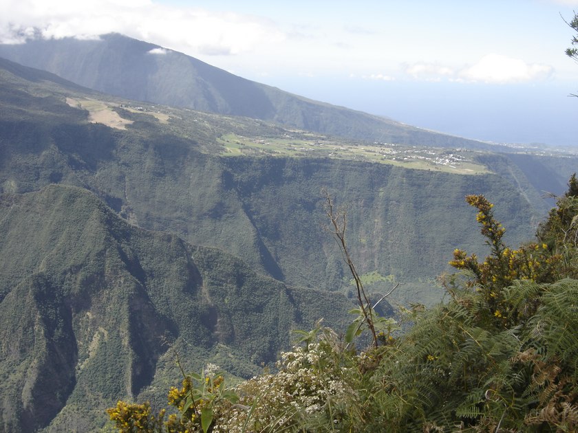 Grand Coude dans les Hauts de St Joseph