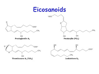 <img src="eicosanoides-bioquímica.jpg" alt="son las hormonas que regulan varios procesos fisiológicos del organismo"/> 