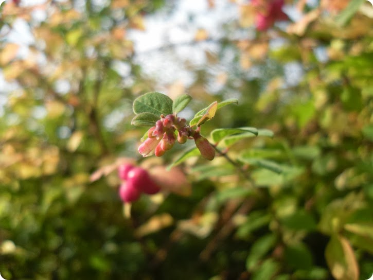 Oktober 2013
