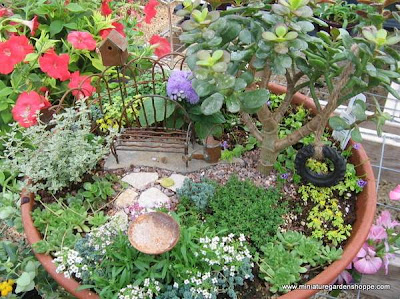 miniature garden plants