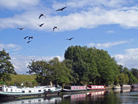 beneath Warwick Reservoir West