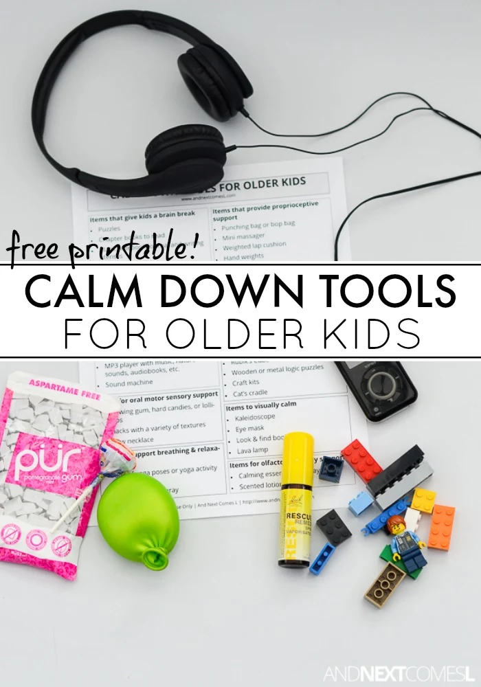 Calm down tools and toys for older kids from And Next Comes L