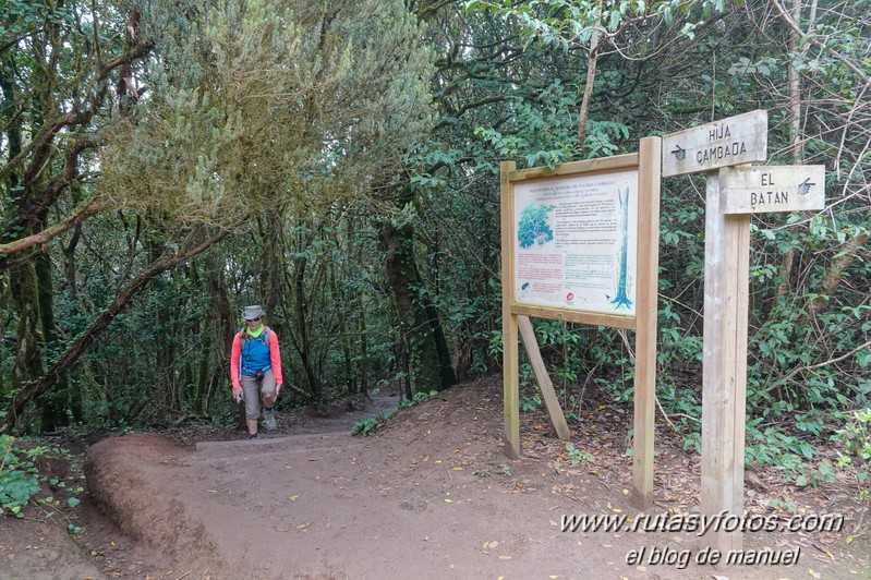 Sendero de los Sentidos - Sendero de los Enigmas