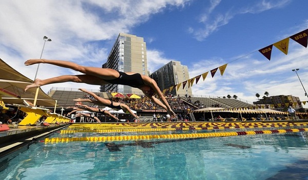 pack 12 swimming championship 2019