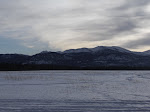 Winter Adventures