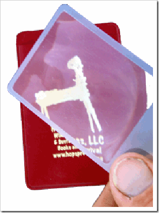 clip_image009
