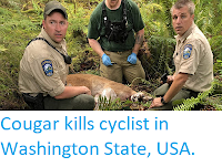 http://sciencythoughts.blogspot.com/2018/05/cougar-kills-cyclist-in-washington.html