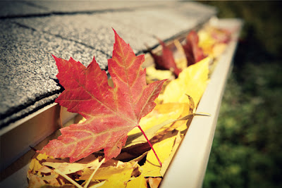 Foto hojas de otoño