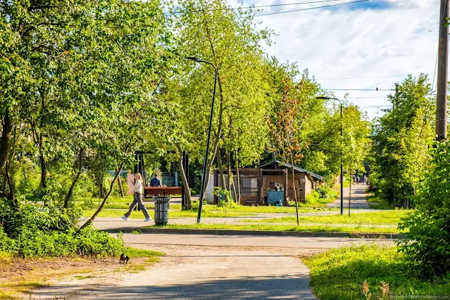 Девушка идет по дорожке в сквере