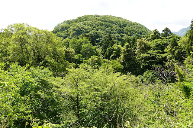 香取　大山環状道路からの眺め