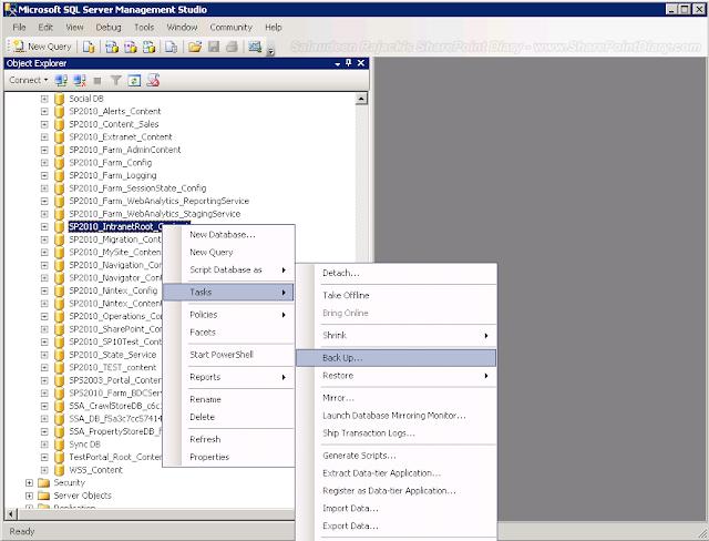 backup SQL Server database