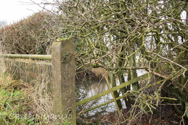 river sherbourne