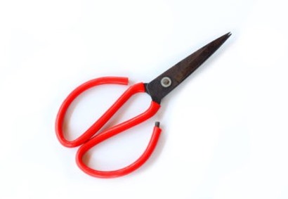 gardening scissors