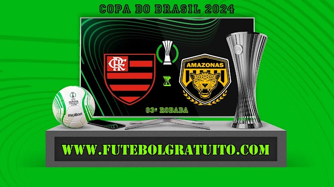 Assistir Flamengo x Amazonas ao vivo online grátis 01/05/2024