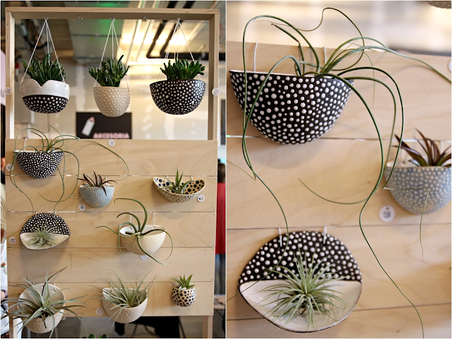 airplant